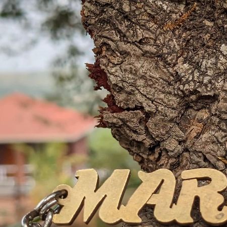 Mars Jungle Adventure Stud Farm With Private Jacuzzi Villa Narsinge Exterior photo