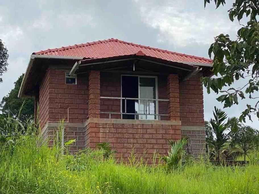 Mars Jungle Adventure Stud Farm With Private Jacuzzi Villa Narsinge Exterior photo