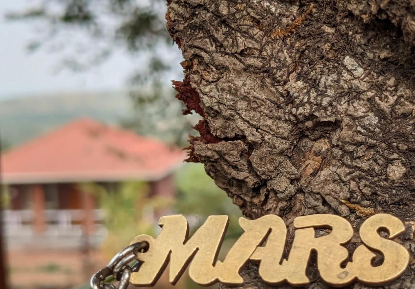 Mars Jungle Adventure Stud Farm With Private Jacuzzi Villa Narsinge Exterior photo