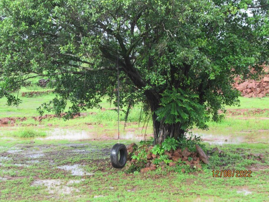 Mars Jungle Adventure Stud Farm With Private Jacuzzi Villa Narsinge Exterior photo
